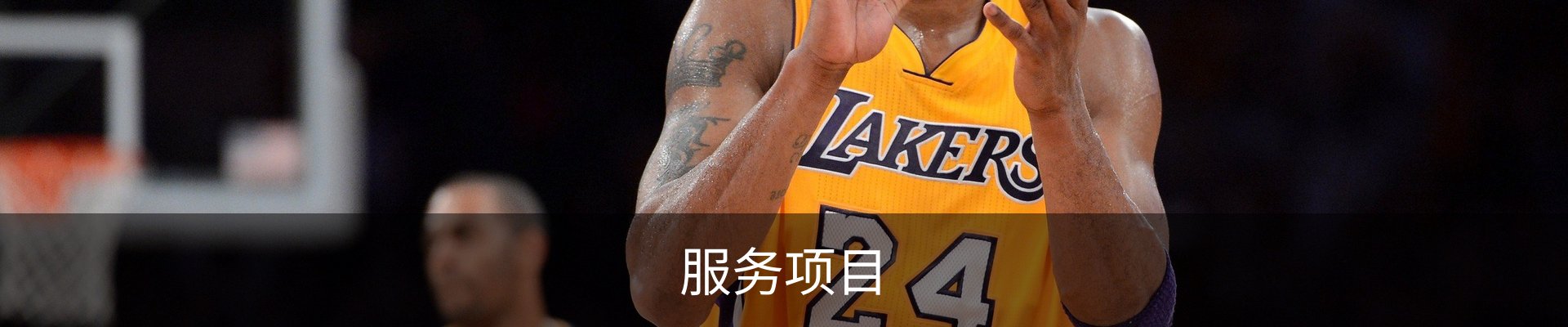 服务项目